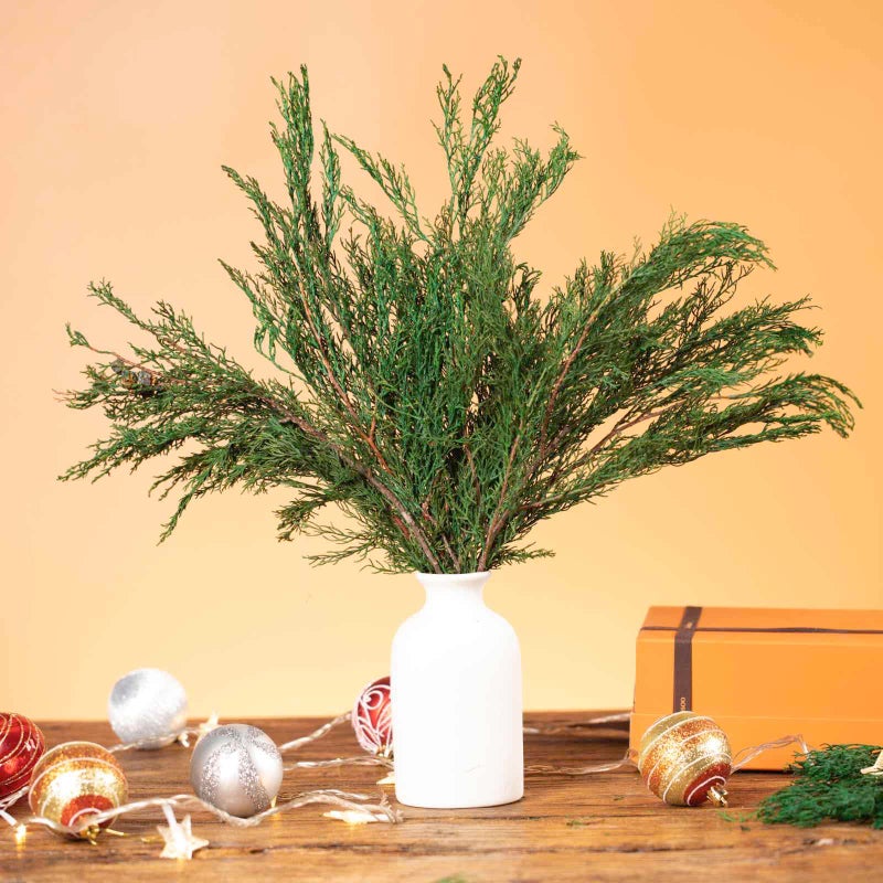 Tavkite 4OZ Preserved Real Pine Leaves Branches -17'' Natural Greenery Plants Twigs Stems Pine Needles Evergreen Picks for Garland Wreath Xmas Wedding Home Party Decor Indoor Outdoor Decoration - Image 2